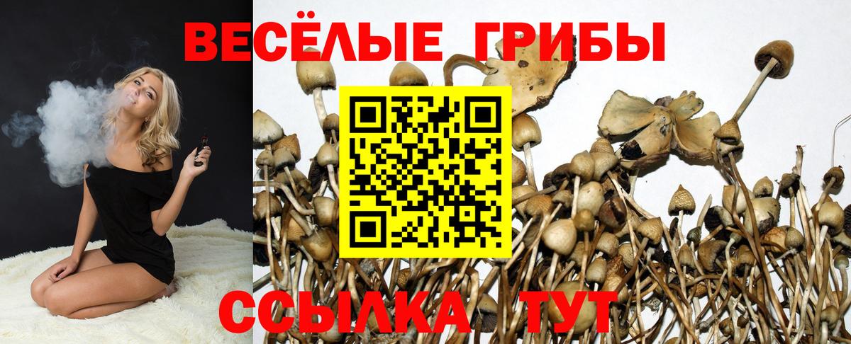 Псилоцибиновые грибы прущие грибы  Вход с VPN  Батайск 