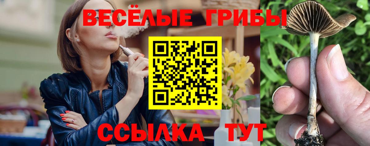Меф Батайск